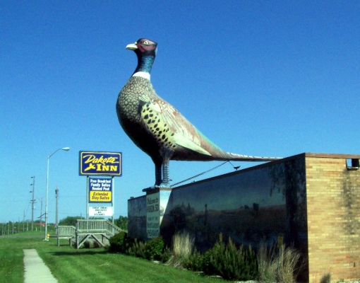 Huron, SD
You can't miss the worlds largest pheasant as you drive into the city of Huron SD.
Jerry Krug photo 5-19-07.
